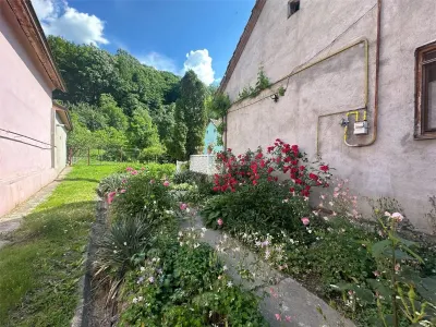 Bocsa Montana, Casa mare la strada principala - foto 27
