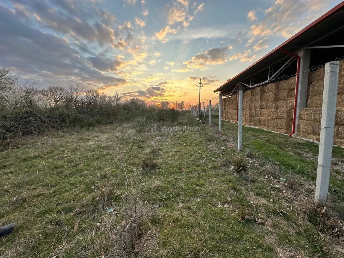Bocsa Romana, 2 terenuri intravilan, 10.000 Mp.(57.500 Euro) si arabil, 80.000 Mp.(54900 Euro, 8 HA) langa Hala Transavia - foto 4