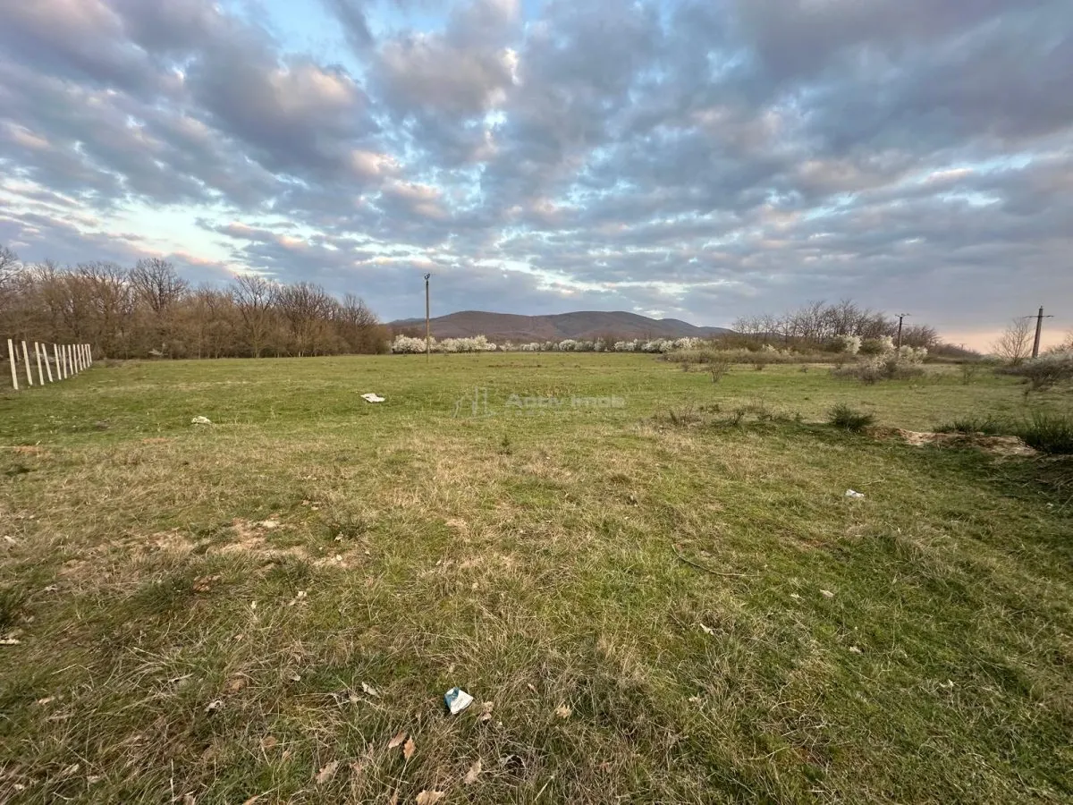 Bocsa Romana, 2 terenuri intravilan, 10.000 Mp.(57.500 Euro) si arabil, 80.000 Mp.(54900 Euro, 8 HA) langa Hala Transavia - foto 6