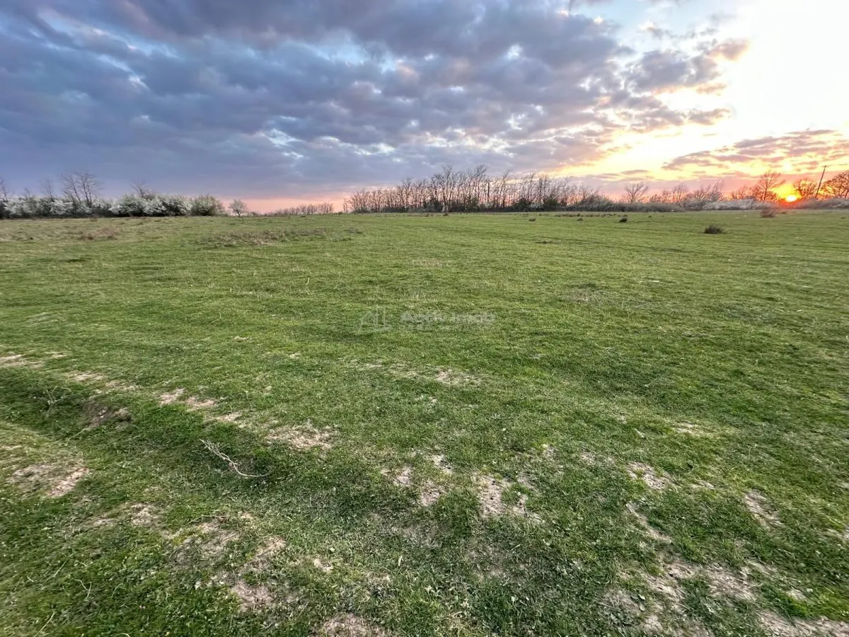 Bocsa Romana, 2 terenuri intravilan, 10.000 Mp.(57.500 Euro) si arabil, 80.000 Mp.(54900 Euro, 8 HA) langa Hala Transavia - foto 7