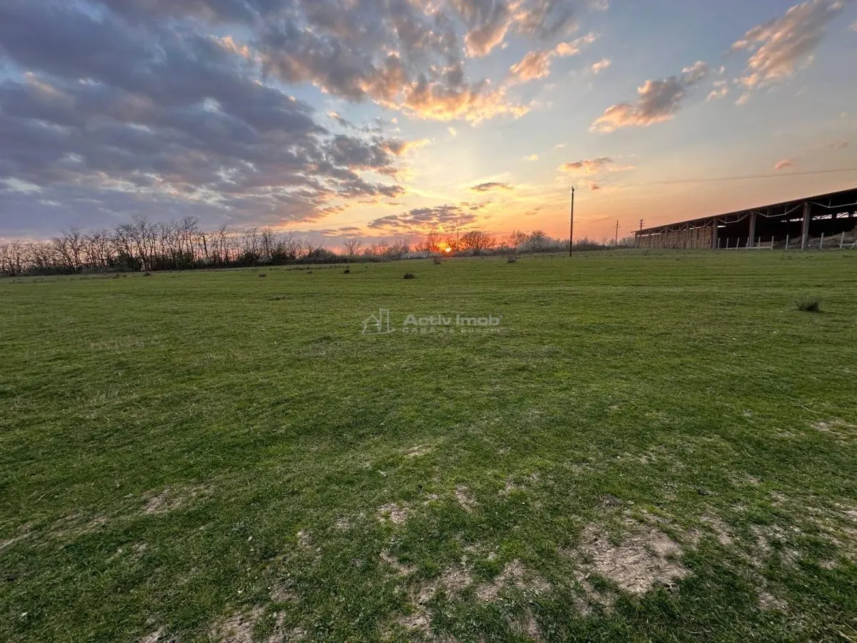 Bocsa Romana, 2 terenuri intravilan, 10.000 Mp.(57.500 Euro) si arabil, 80.000 Mp.(54900 Euro, 8 HA) langa Hala Transavia - foto 8