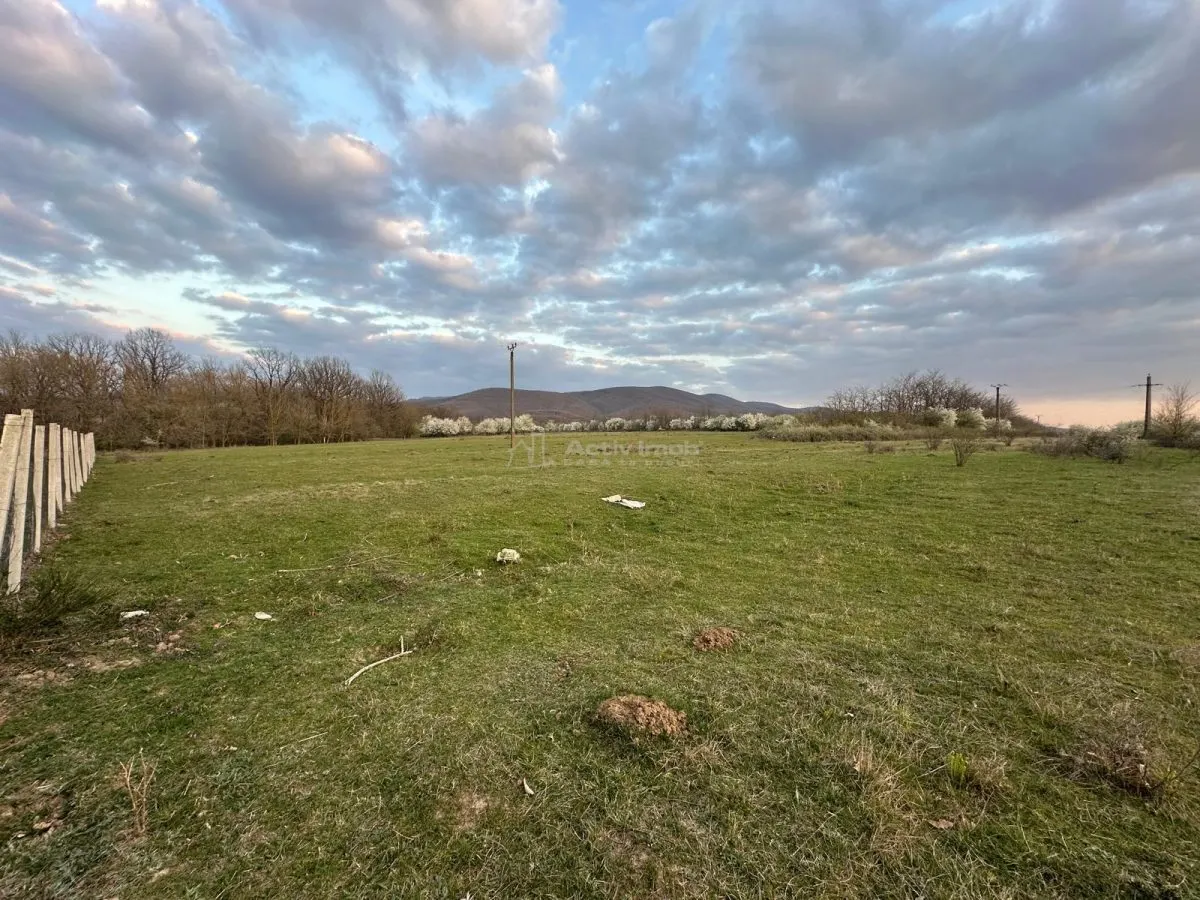 Bocsa Romana, 2 terenuri intravilan, 10.000 Mp.(57.500 Euro) si arabil, 80.000 Mp.(54900 Euro, 8 HA) langa Hala Transavia - foto 10