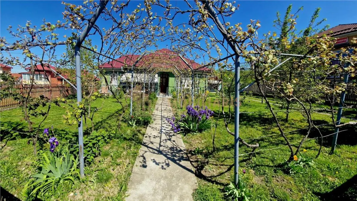 Casa de vanzare, Finteusu Mare - foto 1