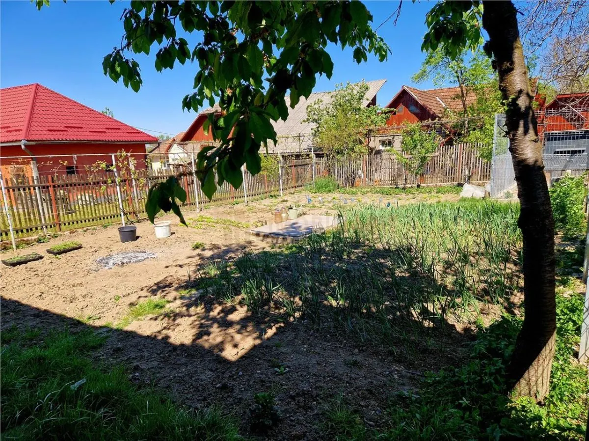 Casa de vanzare, Finteusu Mare - foto 12