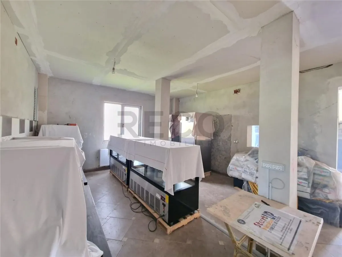 RECO Pensiune+sala de evenimente 150 locuri, 470 mp utili in Petreasa, com. Remetea, la gri. Oportunitate investitie. - foto 13