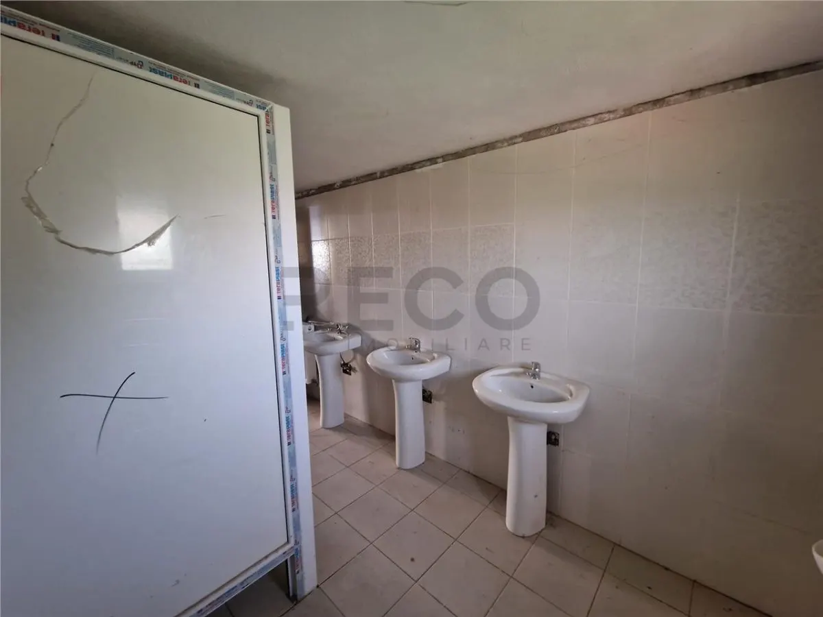 RECO Pensiune+sala de evenimente 150 locuri, 470 mp utili in Petreasa, com. Remetea, la gri. Oportunitate investitie. - foto 17