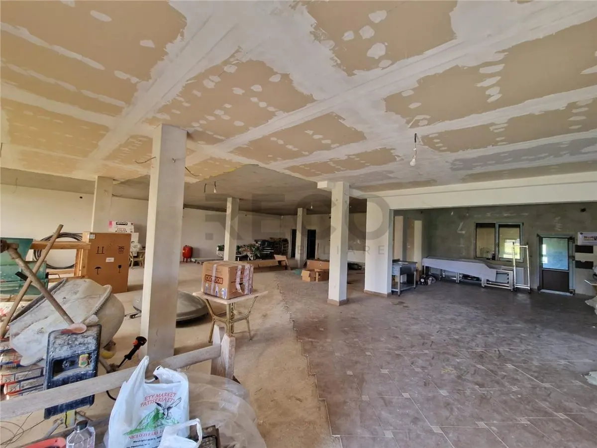 RECO Pensiune+sala de evenimente 150 locuri, 470 mp utili in Petreasa, com. Remetea, la gri. Oportunitate investitie. - foto 6