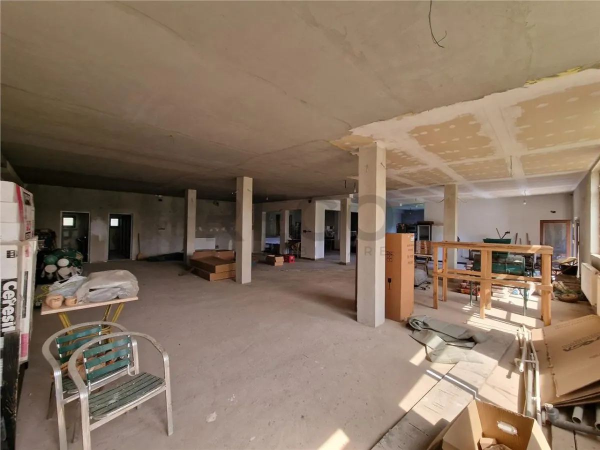 RECO Pensiune+sala de evenimente 150 locuri, 470 mp utili in Petreasa, com. Remetea, la gri. Oportunitate investitie. - foto 7