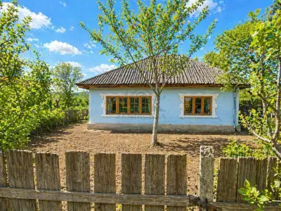 Casa batraneasca + 4200 mp teren intravilan - Prisacani
