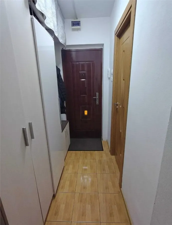 Apartament 2 camere zona Eremia Grigorescu - foto 5