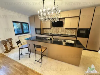 Vila pretabila rezidenta/office la Bulevard  Iancu Nicolae - foto 4