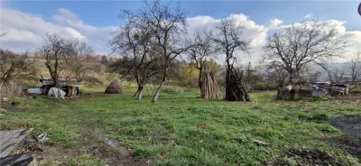 RECO Teren intravilan in Borod  la 20 de minute de Alesd - foto 6