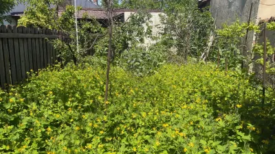 Casa 5 camere, caramida, garaj, pivnita â€” Cantacuzino, Ploiesti - foto 13
