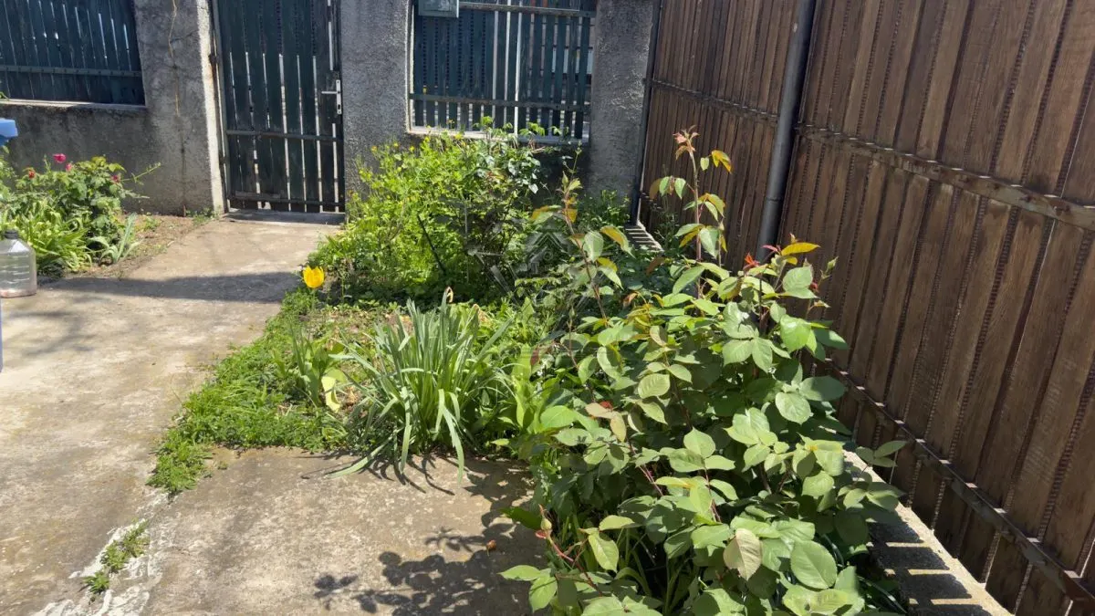 Casa 5 camere, caramida, garaj, pivnita â€” Cantacuzino, Ploiesti - foto 23