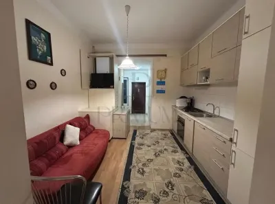 BRANCOVEANU - AP. 1 CAMERA - mobilat,utilat,decomandat +  PARCARE IN CURTE - foto 3