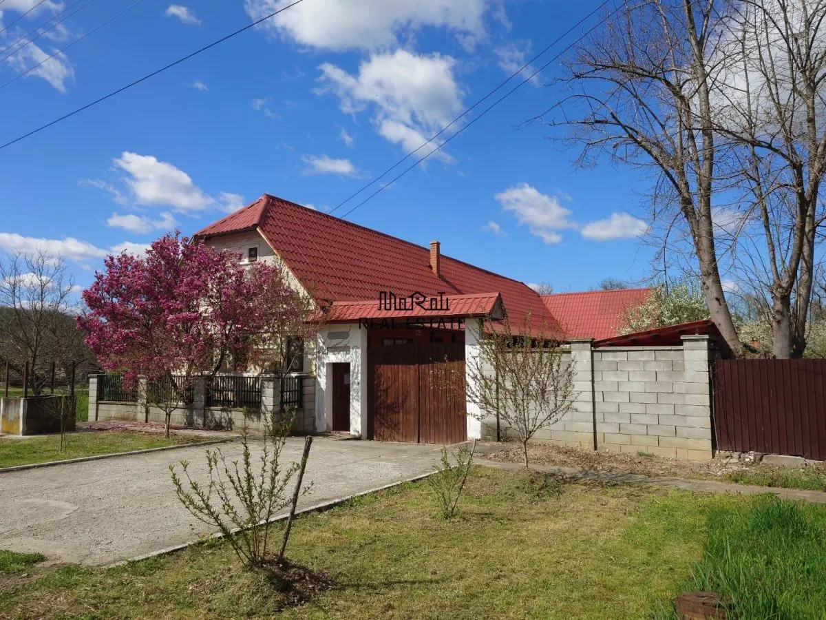 Casa cu gradina si foisor in Brazii Arad - foto 1