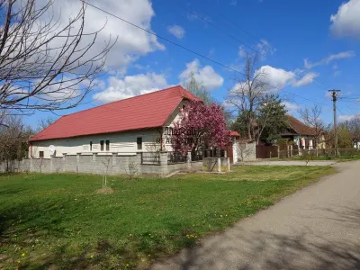 Casa cu gradina si foisor in Brazii Arad - foto 2