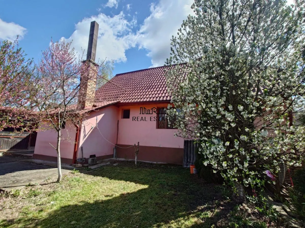 Casa cu gradina si foisor in Brazii Arad - foto 15