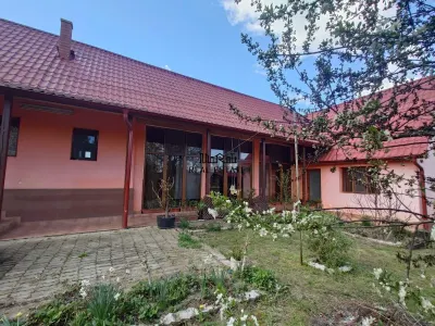 Casa cu gradina si foisor in Brazii Arad - foto 3