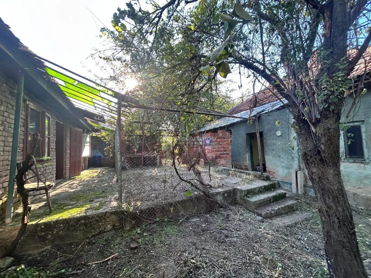 Bocsa Romana, 2 Corpuri de cladire cu Teren si garaj, la Strada Principala - foto 4