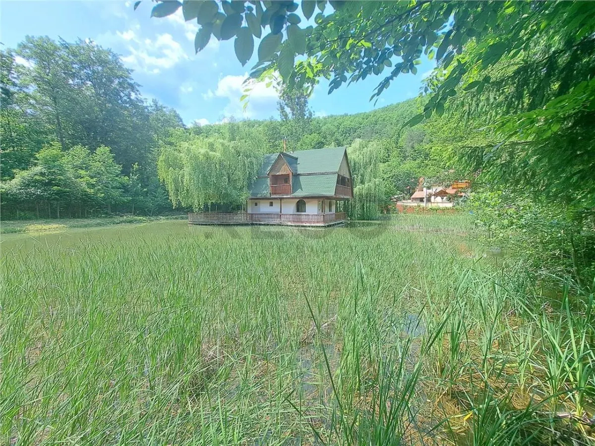 RECO, Cabana pe apa in Padurea Neagra, Bihor - foto 1