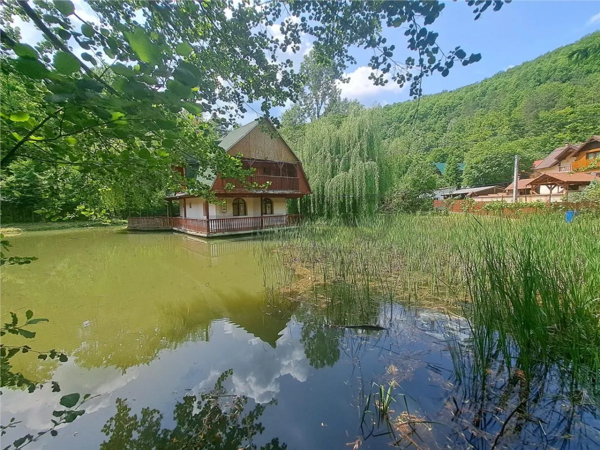 RECO, Cabana pe apa in Padurea Neagra, Bihor - foto 2