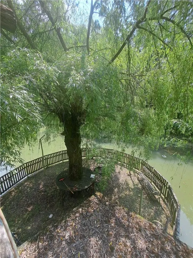 RECO, Cabana pe apa in Padurea Neagra, Bihor - foto 11