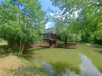 RECO, Cabana pe apa in Padurea Neagra, Bihor - foto 7