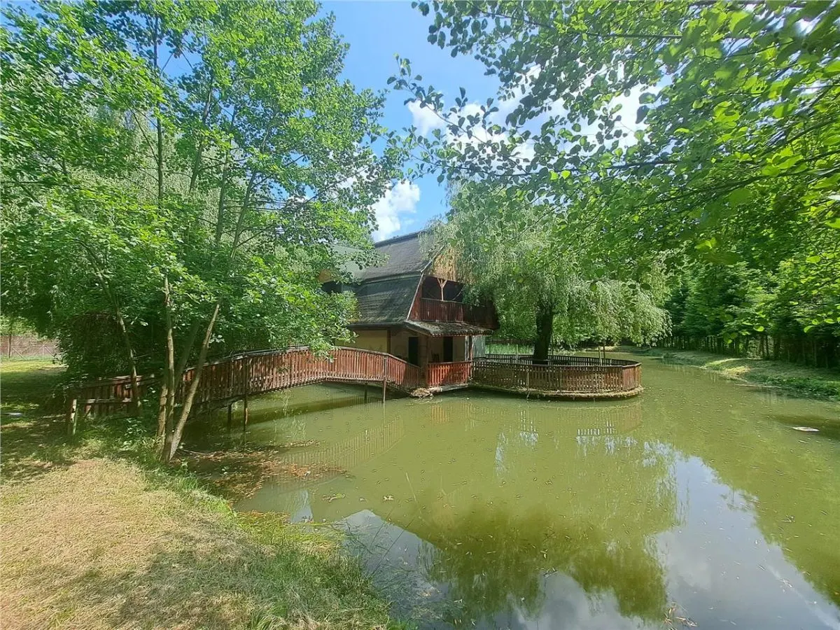 RECO, Cabana pe apa in Padurea Neagra, Bihor - foto 7