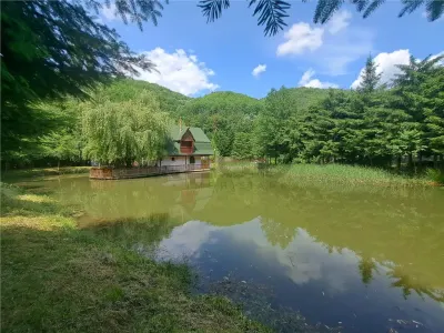 RECO, Cabana pe apa in Padurea Neagra, Bihor - foto 8