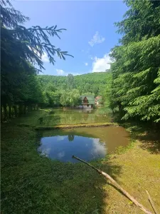 RECO, Cabana pe apa in Padurea Neagra, Bihor - foto 9