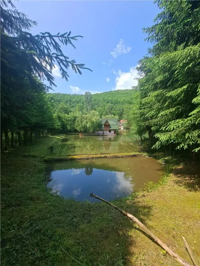 RECO, Cabana pe apa in Padurea Neagra, Bihor - foto 9