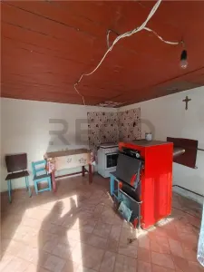 RECO Casa in Poiana tasad cu teren  5000mp - foto 11