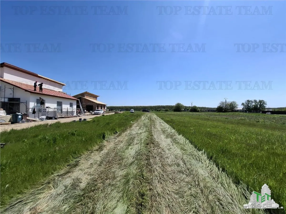 For Sale Case Individuale Snagov-Ghermanesti/In apropierea Padurii/Loturi 500 mp/700 m - foto 6