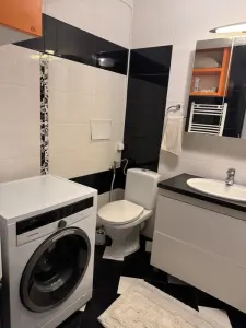 Apartament 3 Camere– Podu Roș / Cantemir (Aleea Rozelor), Iași - foto 8