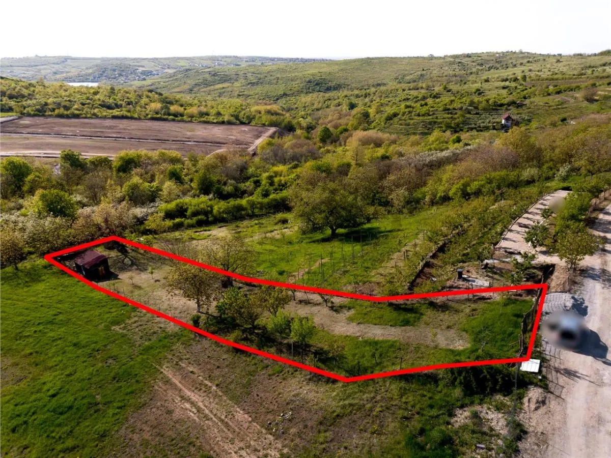 RECO Teren, zona Gheorghe Doja Saldabagiu de Munte, 1129 mp, panorama - foto 2