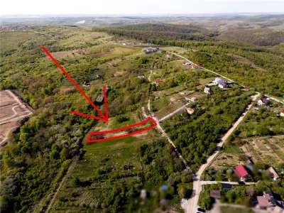 RECO Teren, zona Gheorghe Doja Saldabagiu de Munte, 1129 mp, panorama - foto 6