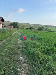 Vanzare teren extravilan zona Valea Fanatelor acces din zona Auchan Iris, Cluj-Napoca - foto 6