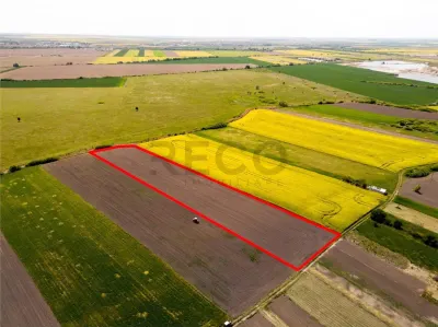RECO Teren intravilan in Bors 13400 mp front 50 ml - foto 3