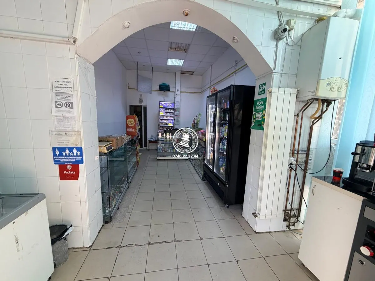 Spatiu comercial de inchiriat Alexandru cel Bun Parcul Voievozilor - foto 1