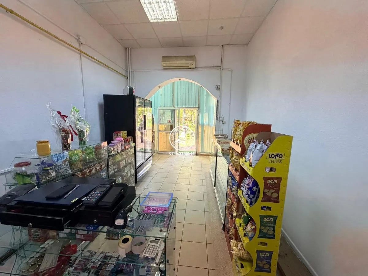 Spatiu comercial de inchiriat Alexandru cel Bun Parcul Voievozilor - foto 2
