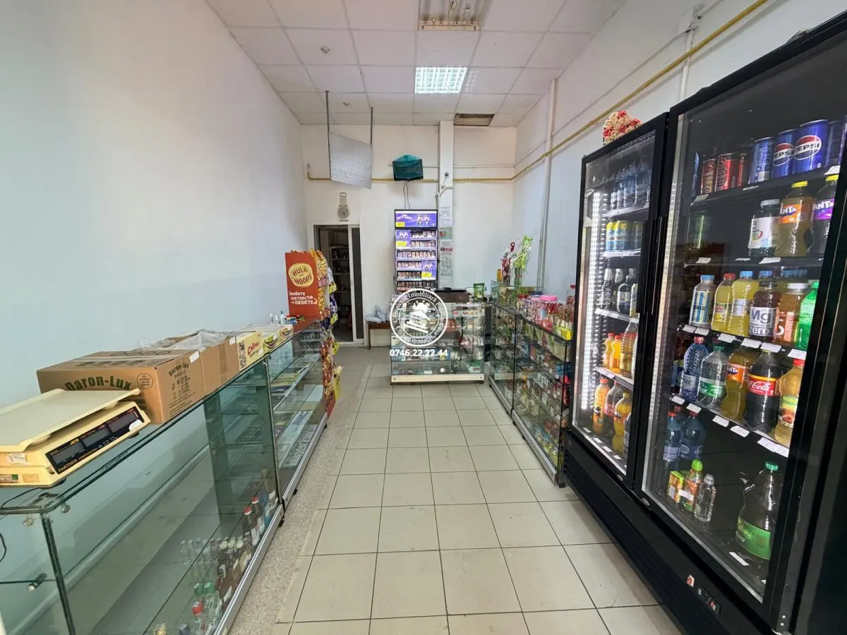 Spatiu comercial de inchiriat Alexandru cel Bun Parcul Voievozilor - foto 3