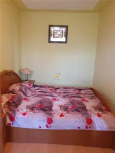 Apartament 2 camere zona Nord - foto 4