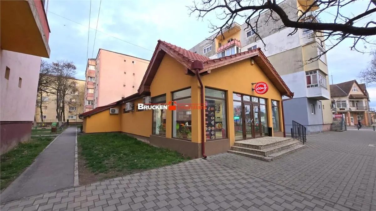 SPATIU COMERCIAL PE ARTERA PRINCIPALA | MARGHITA - foto 1