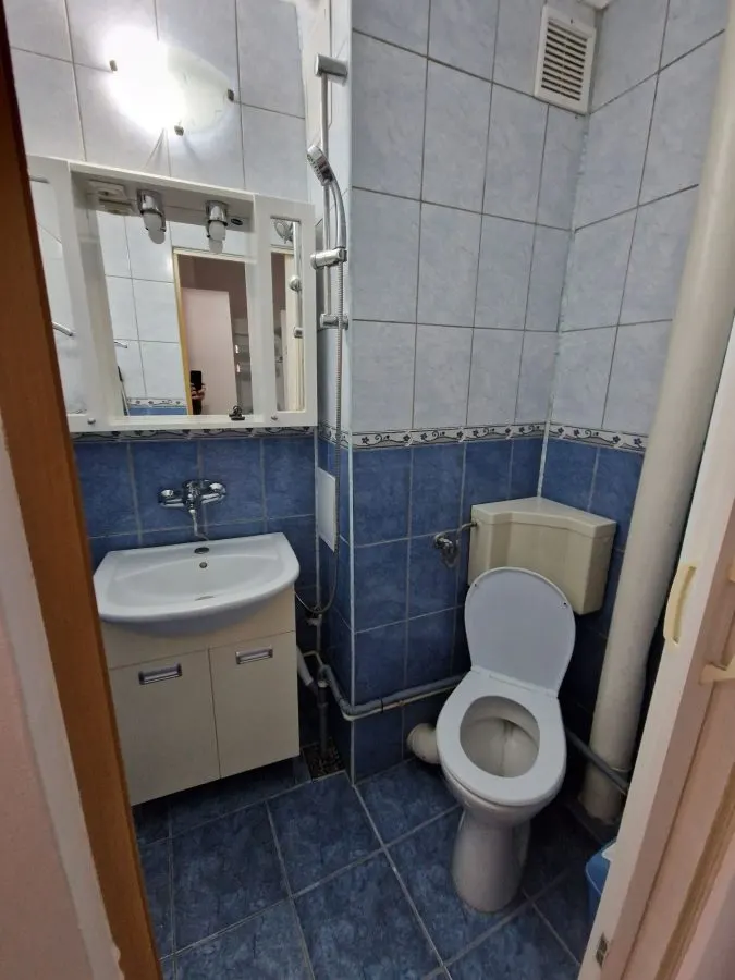 Apartament 2 camere Tractorul-piata,renovat,mobilat,57600 Euro - foto 6