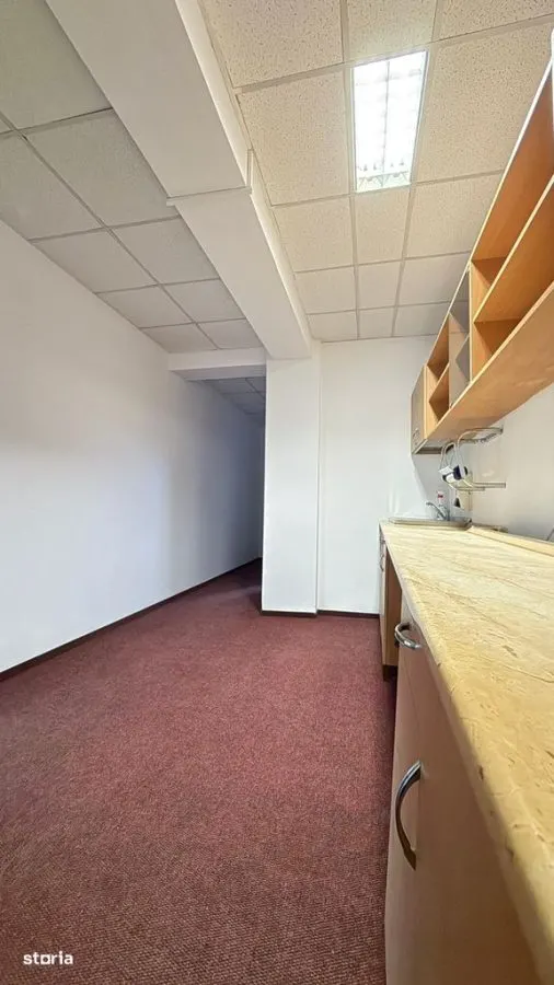 Spaţiu de birouri modern Targu CUCU -1100 EURO - foto 7
