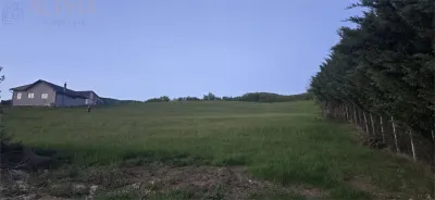 Teren intravilan de vanzare – 50 ari – Crainimat – deschidere 50 ml la DN17 - foto 4