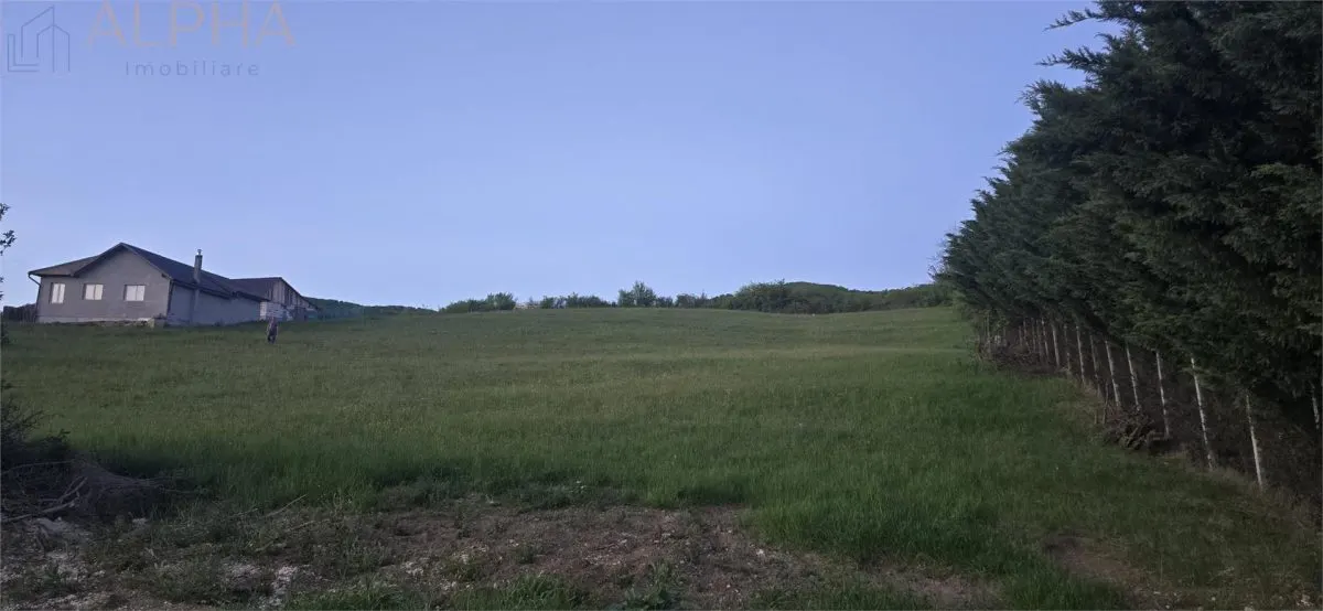 Teren intravilan de vanzare – 50 ari – Crainimat – deschidere 50 ml la DN17 - foto 4