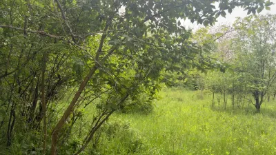 Teren Intravilan de Vânzare Cornu, Prahova | 50 â‚¬/mp - foto 2