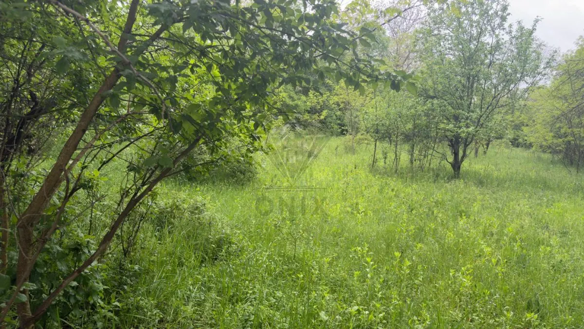 Teren Intravilan de Vânzare Cornu, Prahova | 50 â‚¬/mp - foto 4